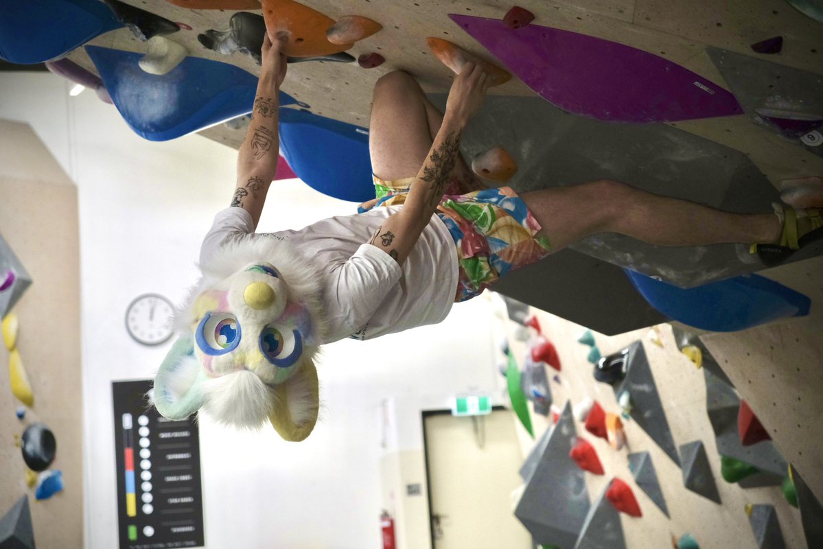 august_jasper_'s tweet image. oh hey there, i’m just hanging out 🧗🏻🐶

📸 @Blurbbub 
#furry #fursuit #bouldering