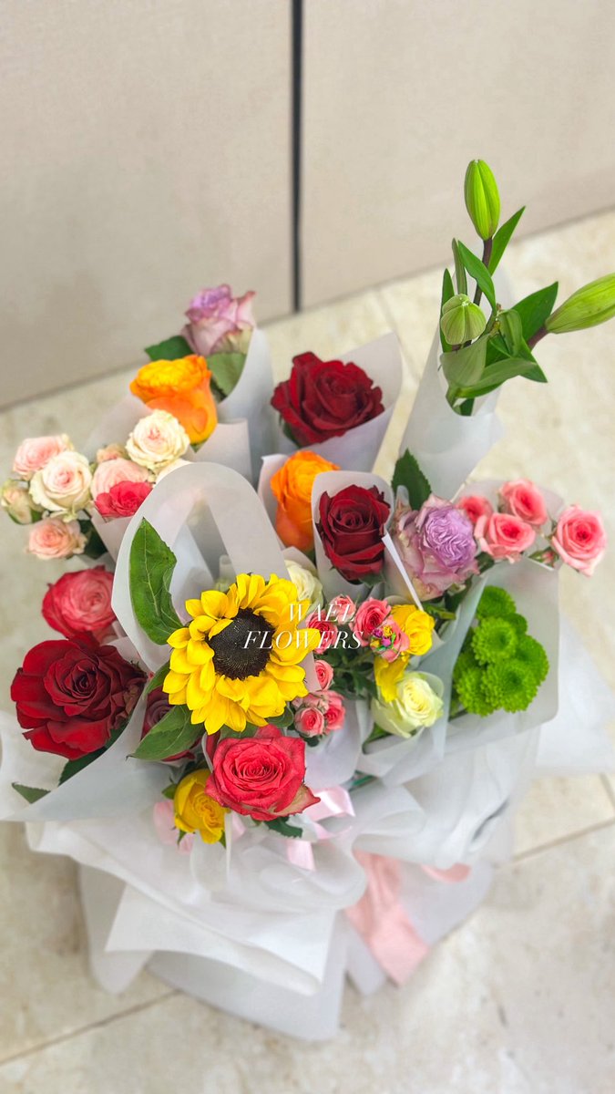 WAEL . tweet media