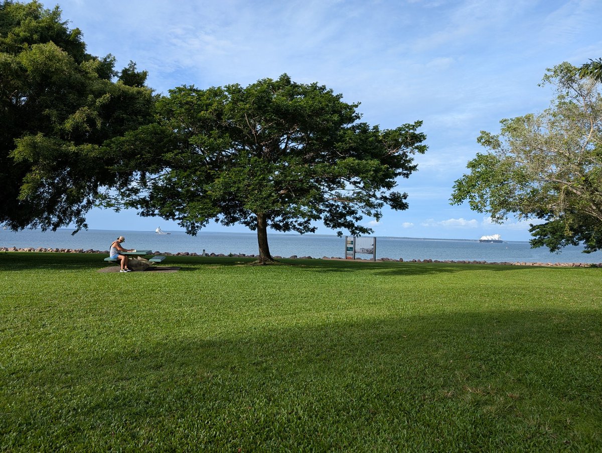 👩‍💻 Paige Bailey tweet media