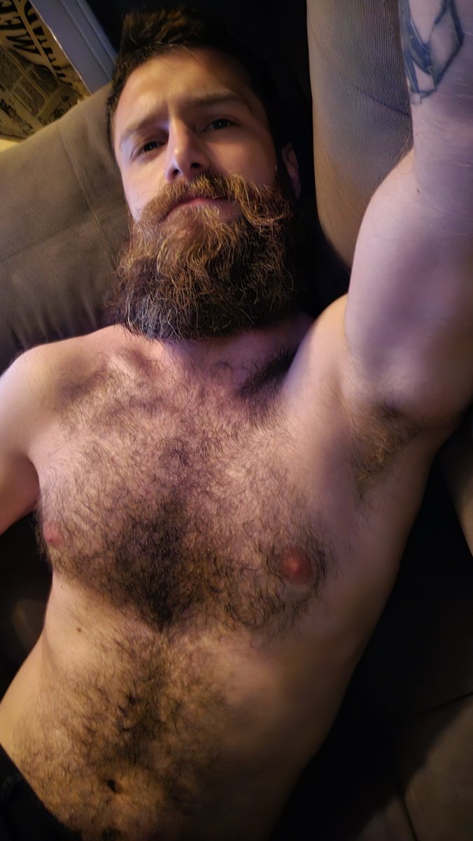 dametto_samoel's tweet image. Prontos pra 2026? 🐻