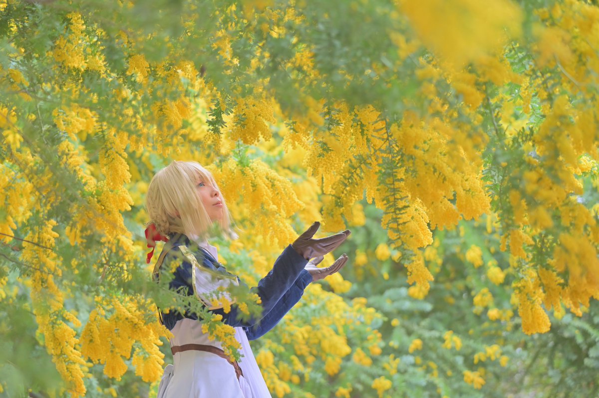 michi🦪🦪🍋 (@michi00michi) / Posts / X