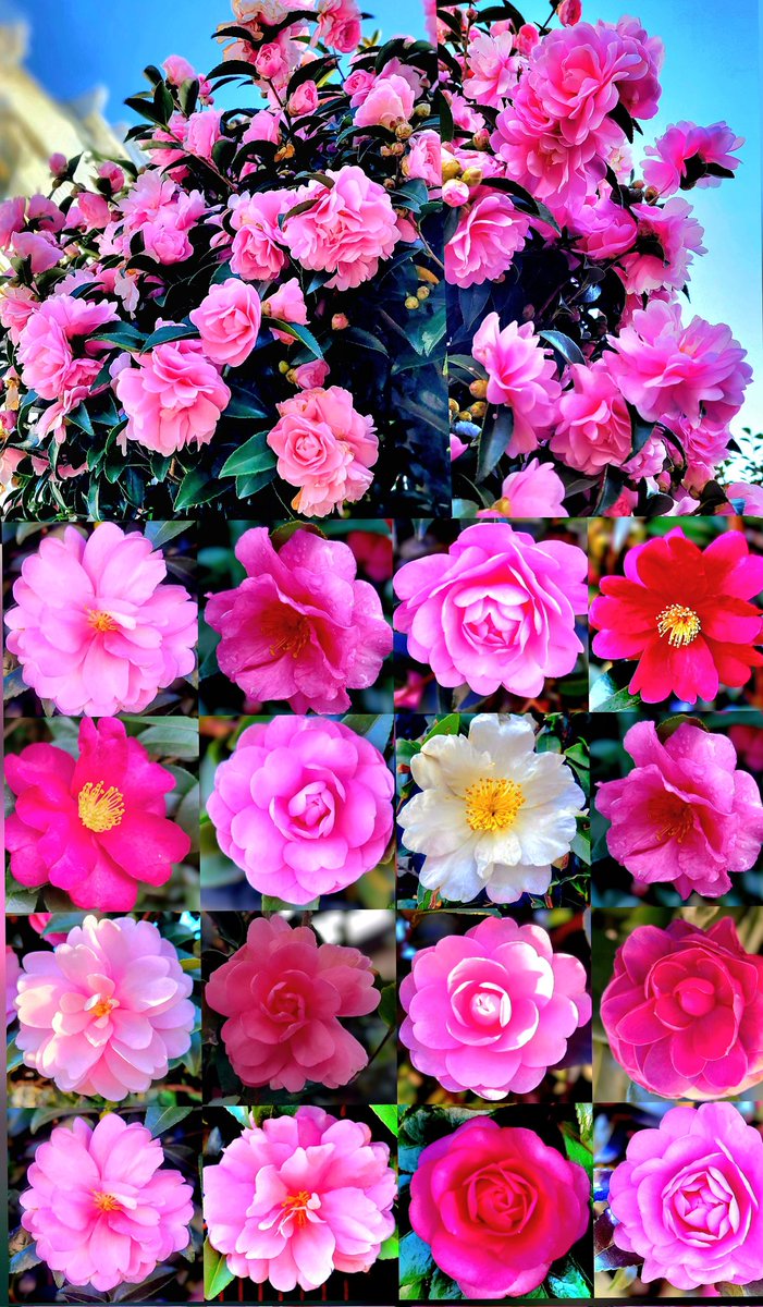 ちゅん (@aebBN6iwx957557) / Posts / X