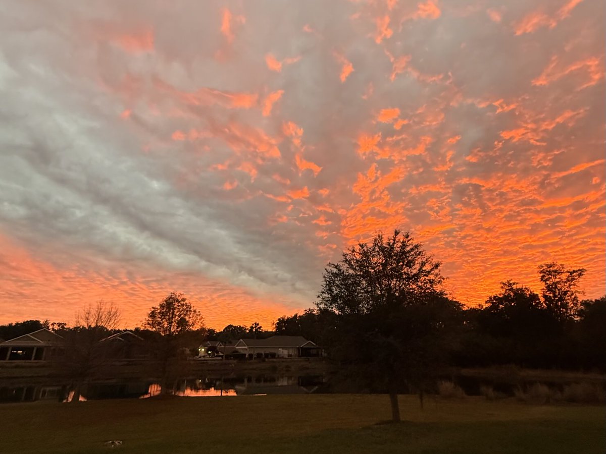 Greg Gaffney tweet media