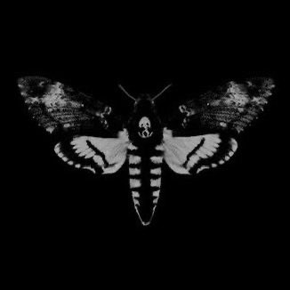 gh0stfacegf's tweet image. gothic butterflies