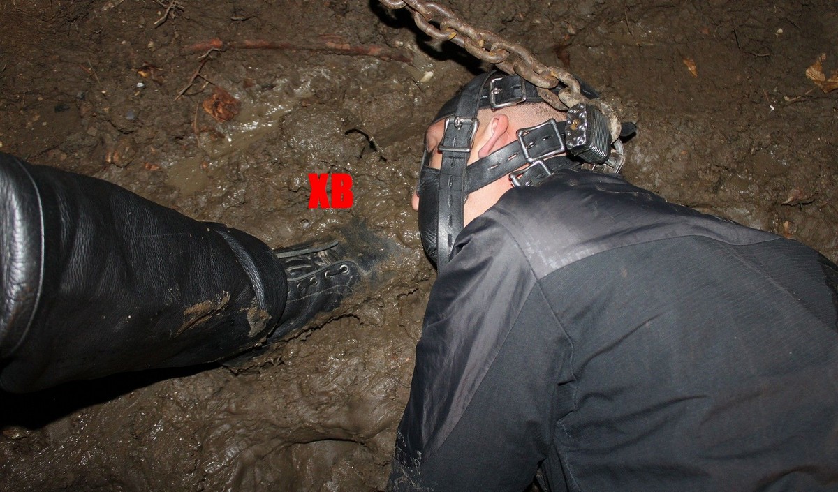 Xavier Bondeur tweet media