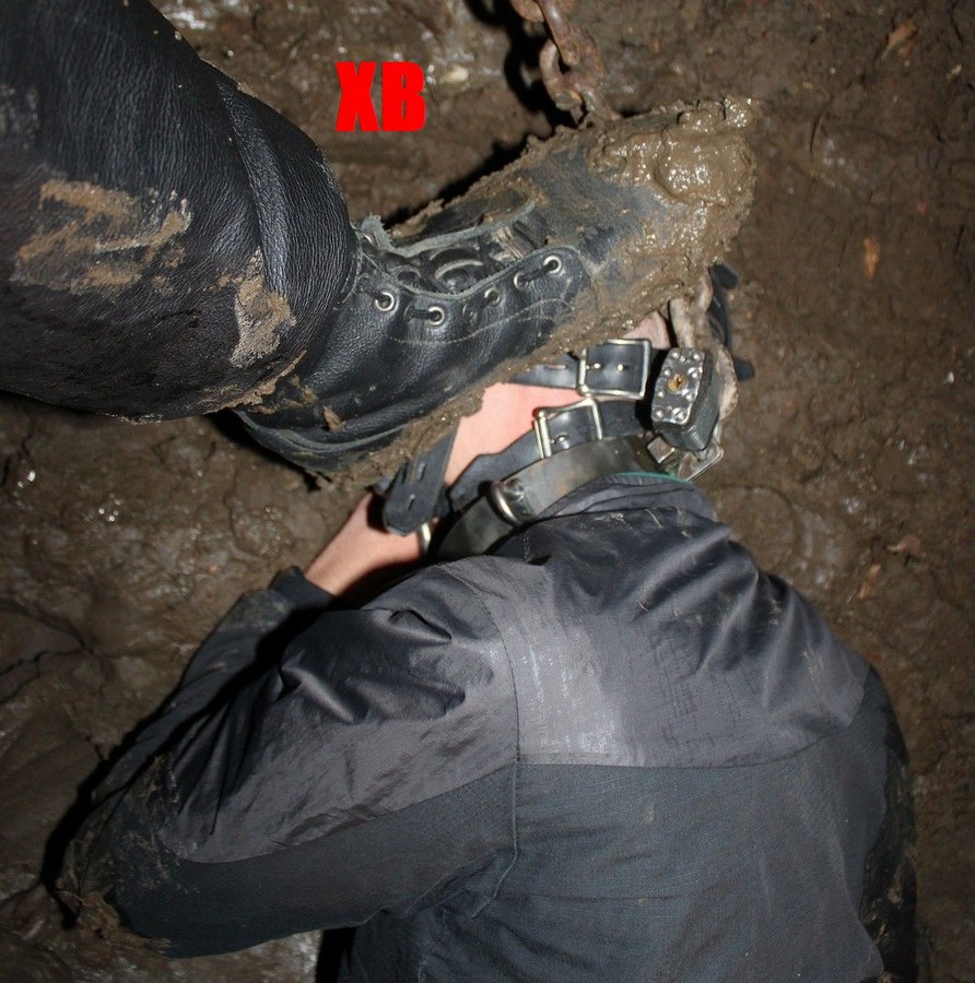 Xavier Bondeur tweet media