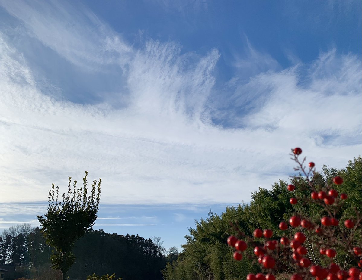 大晦日
おはようございます☀️
今年もお世話になりました
来年もよろしくお願いします
( ^ω^ )ノ✨💖
本日もご安全に〜🍀

#イマソラ