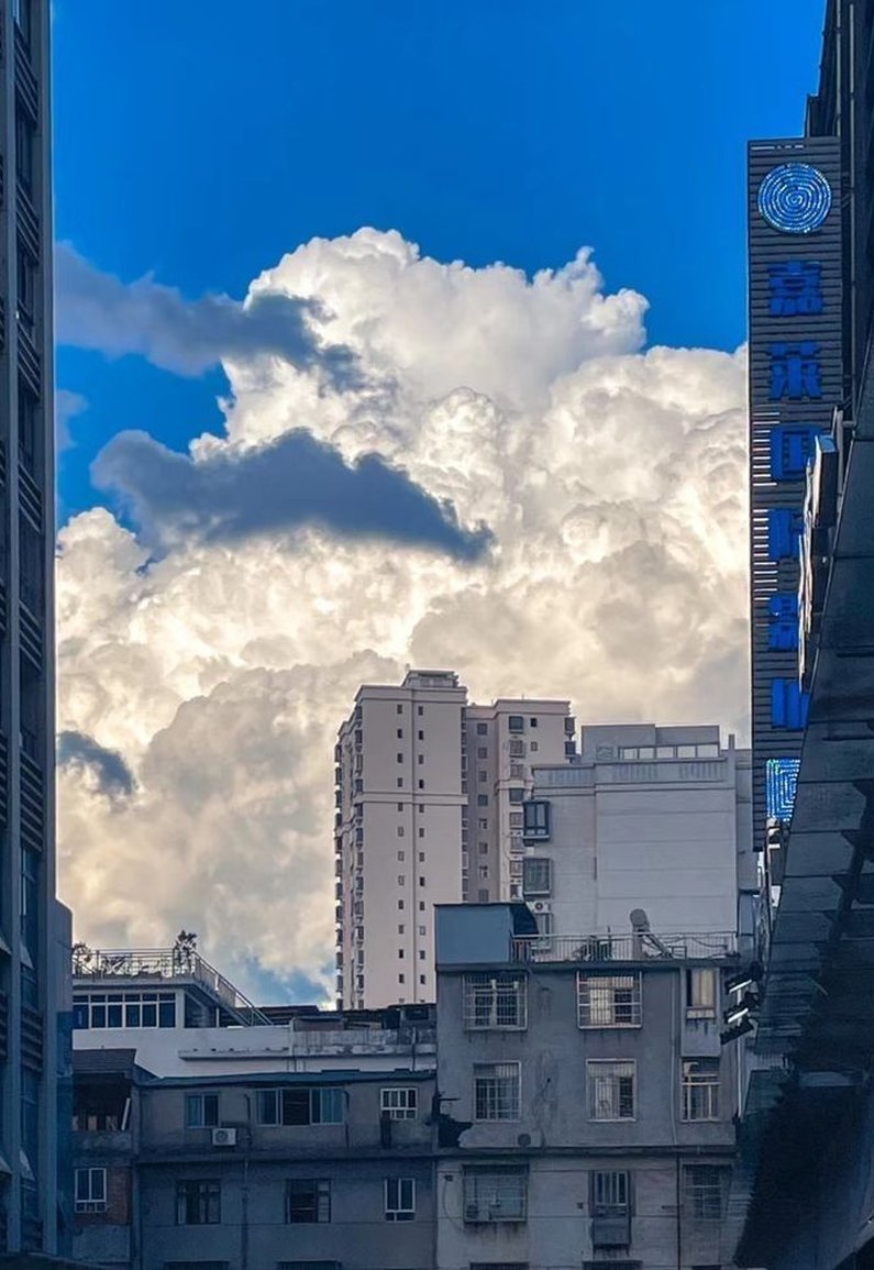 MusicalManders's tweet image. 9月の思い出 😵