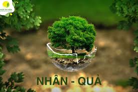 mitkll's tweet image. 🧘‍♂️ Sống thiện không cần chứng minh, nhân quả sẽ trả lời. #Umi @Pact_Swap @_technotainment @YOM_Official