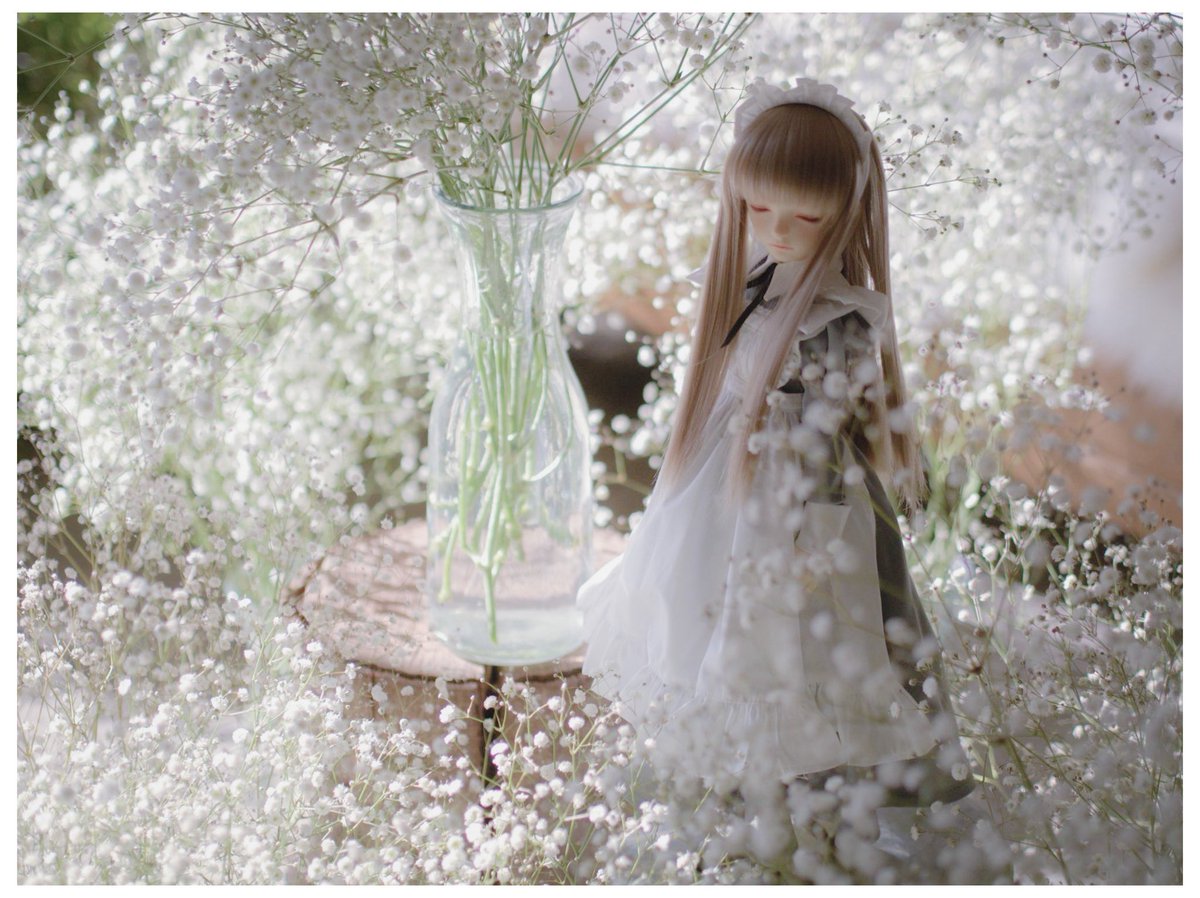 #2025年自分が選ぶ今年の4枚