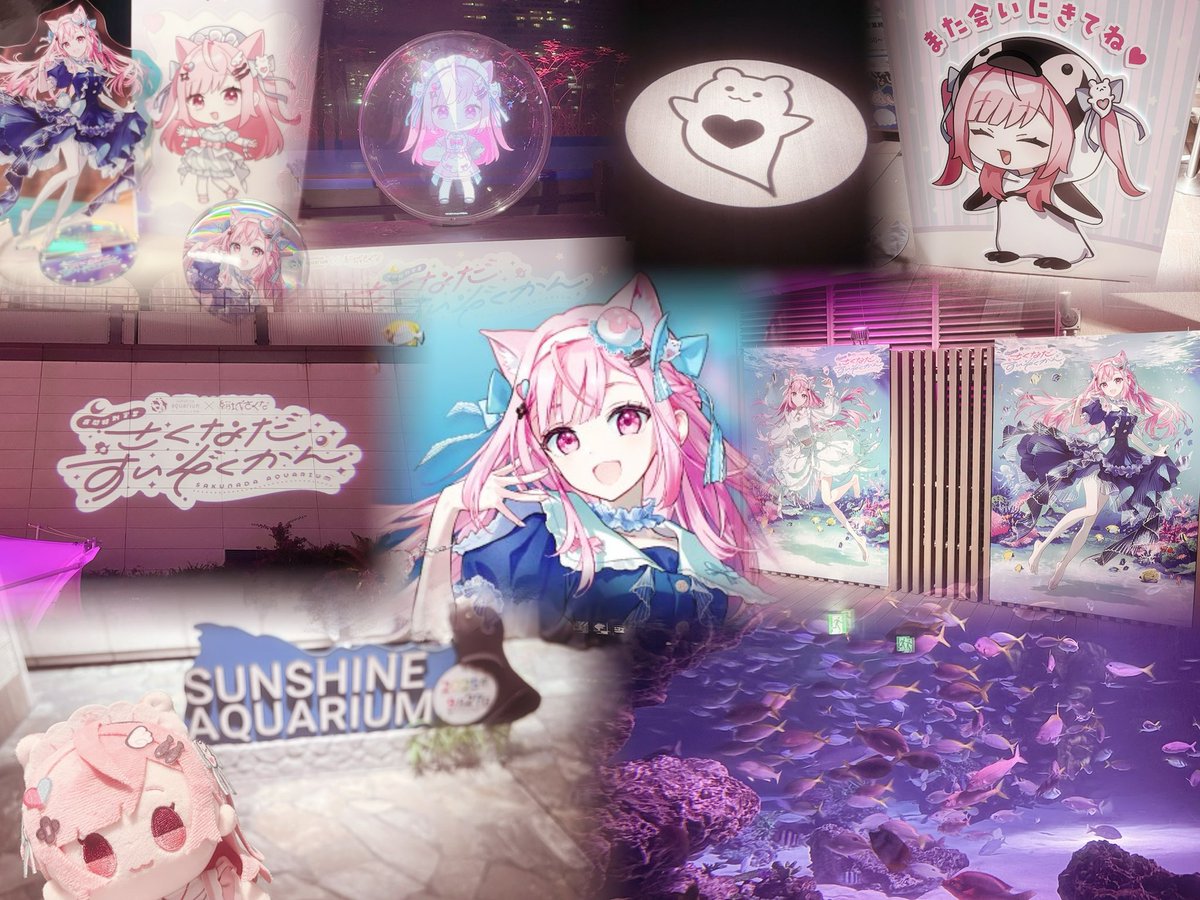 さくにゃん 2025年、無事終了(ᐡㆆ⩊ㆆกᐡ)💘⭐ さくにゃんいっぱいな1年で