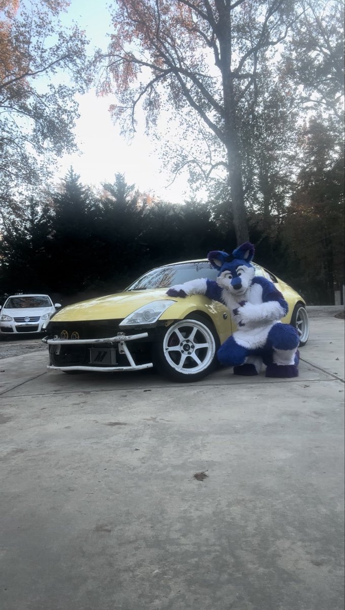 shop dog tweet media