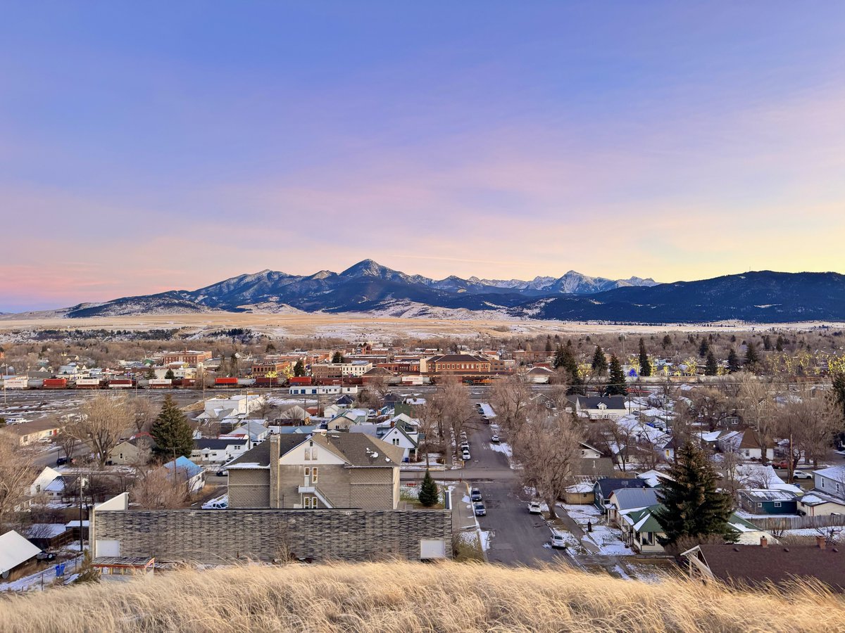 D. Scott tweet media