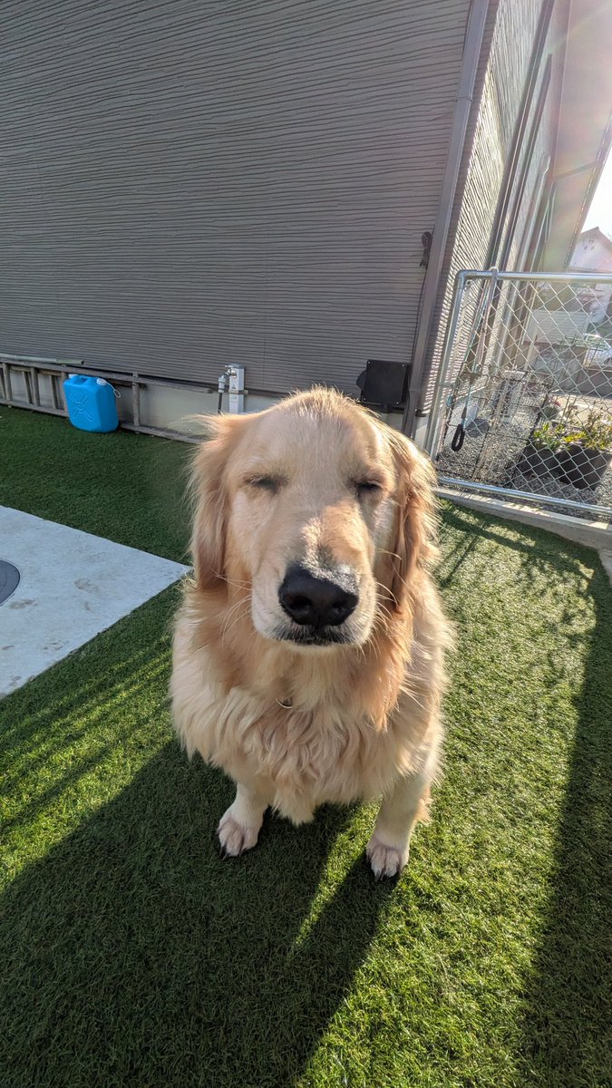 とんすけ (@tonsuke85) / Posts / X