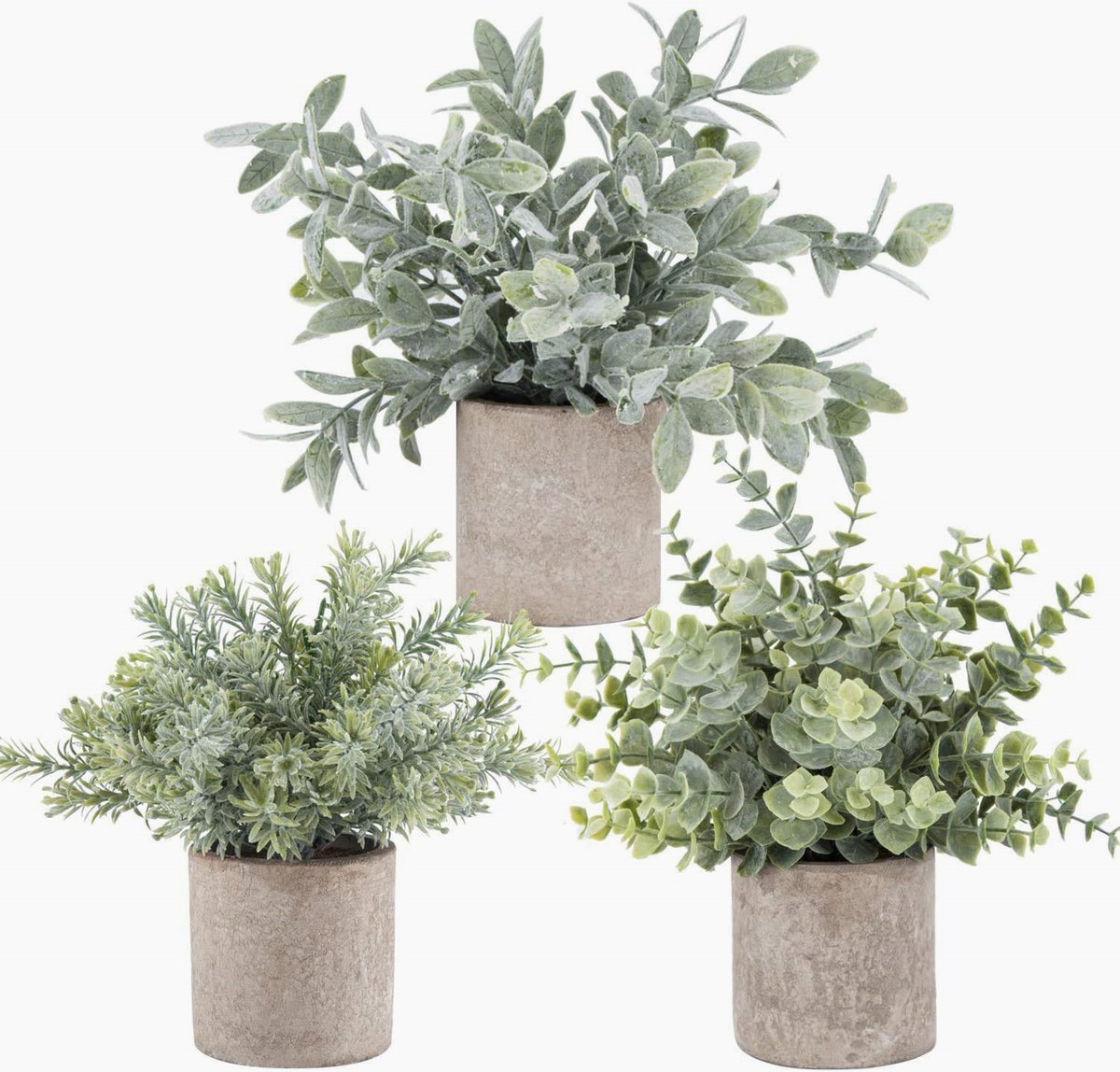 LatestDecord's tweet photo. Der Rose 3 Pack Mini Potted Fake Plants Artificial Plastic Eucalyptus Plants for Home Office Desk Farmhouse Room Decor

 Rating ⭐ : 4.7
 Check Amazon price >> 🔗 : https://t.co/9BaE8lKncE https://t.co/asWUBIPQ1U