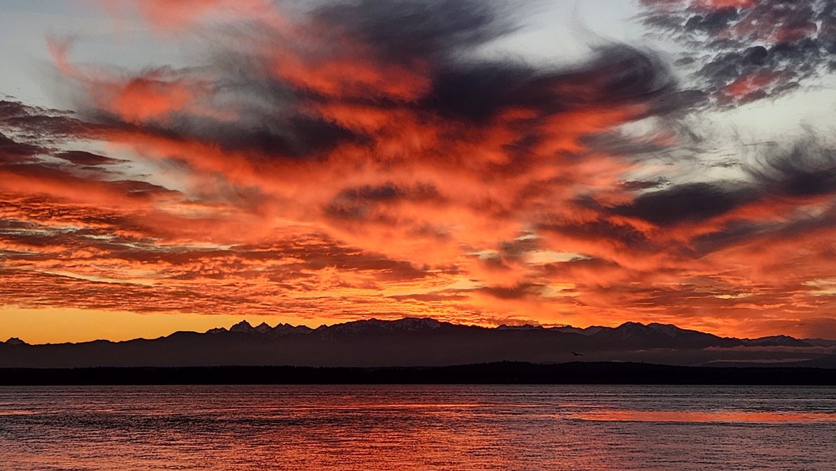 WhidbeyWXGuy's tweet image. 