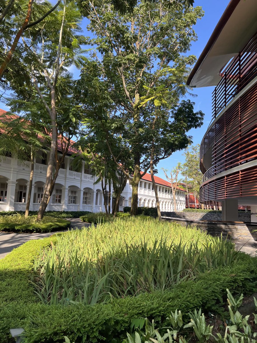 maynard_si's tweet image. 私はここにいるのが好きで、とても静かでたくさんの事を考えることができます