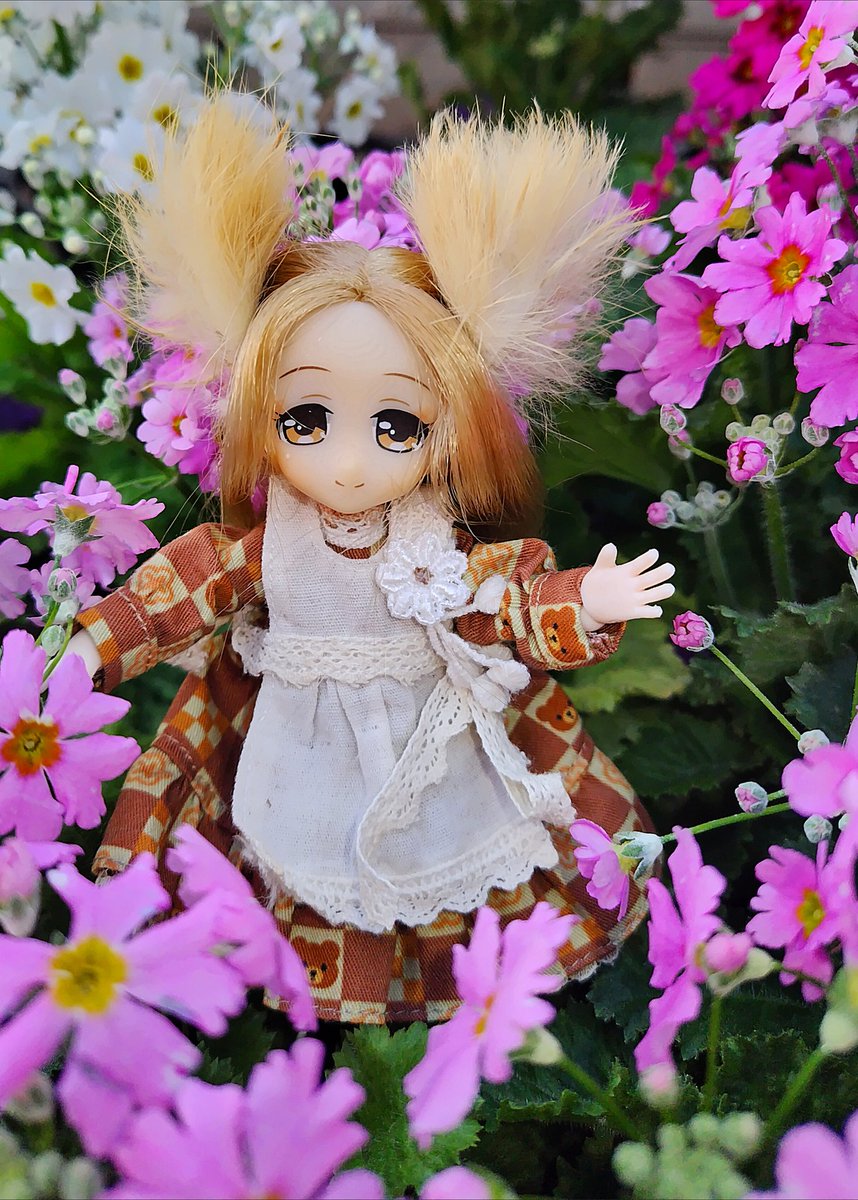 おはようございます(#^.^#)

年内最後のお仕事～って、大晦日

ルミュ:よい～おとしを～🎵