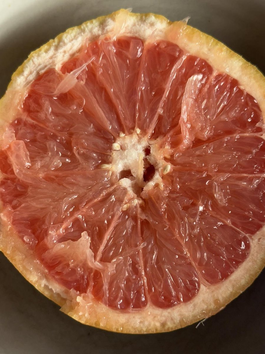 paulinepark's tweet image. I'm savoring a #grapefruit for the first time in ages; it's low-calorie yet nutritionally-dense &amp;amp; is loaded with vitamins A &amp;amp; C, calcium &amp;amp; iron and I love its tartly sweet &amp;amp; tangy citrus flavor~! #grapefrukt #pamplemousse #pompelmo #pomelo 그레이프 프루트

indifferentlanguages.com/words/grapefru…