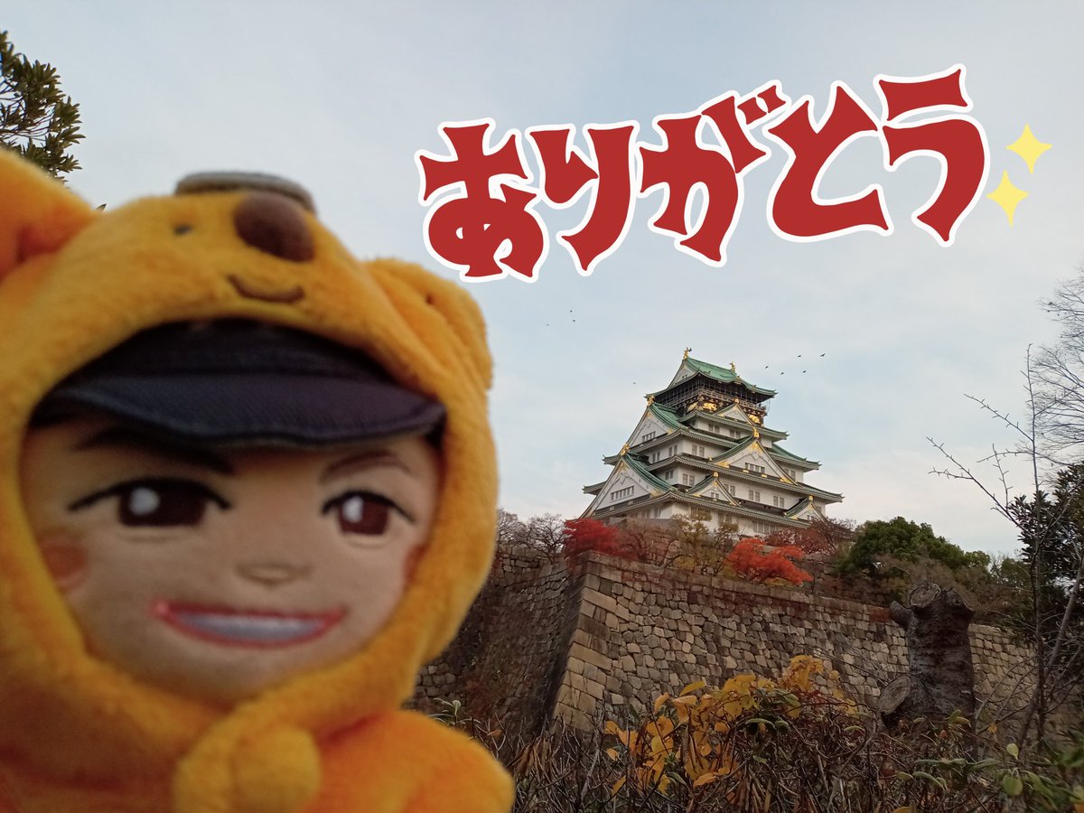 はんばーぐ🍚 tweet media
