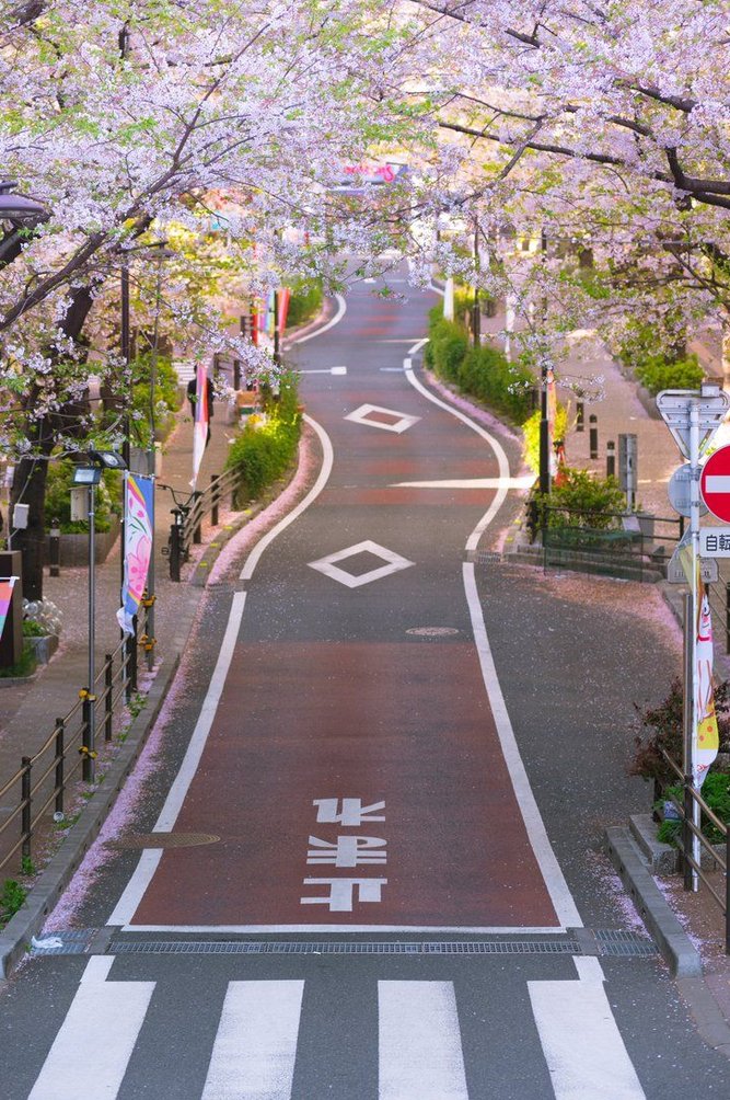 noblestosh's tweet image. 食べ物を立つ 😗