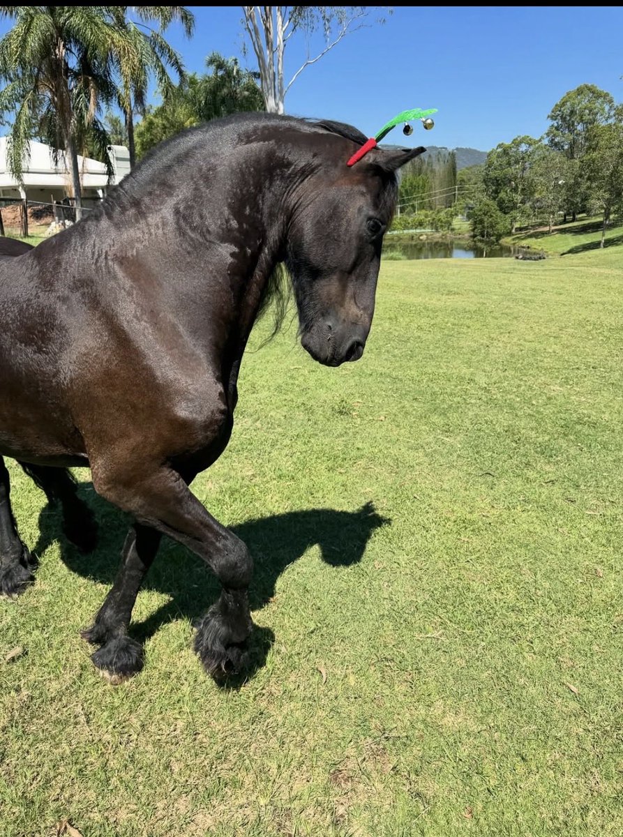 SaveTheOC's tweet image. 𝓗𝓮𝓻𝓮 𝓯𝓸𝓻 𝓽𝓱𝓮 𝓰𝓸𝓸𝓭 𝓿𝓲𝓫𝓮𝓼 𝓸𝓷𝓵𝔂 ✨