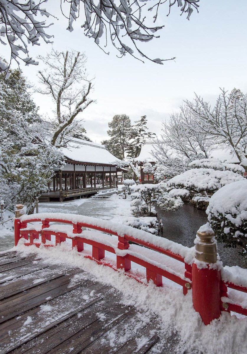 ペンタ tweet media