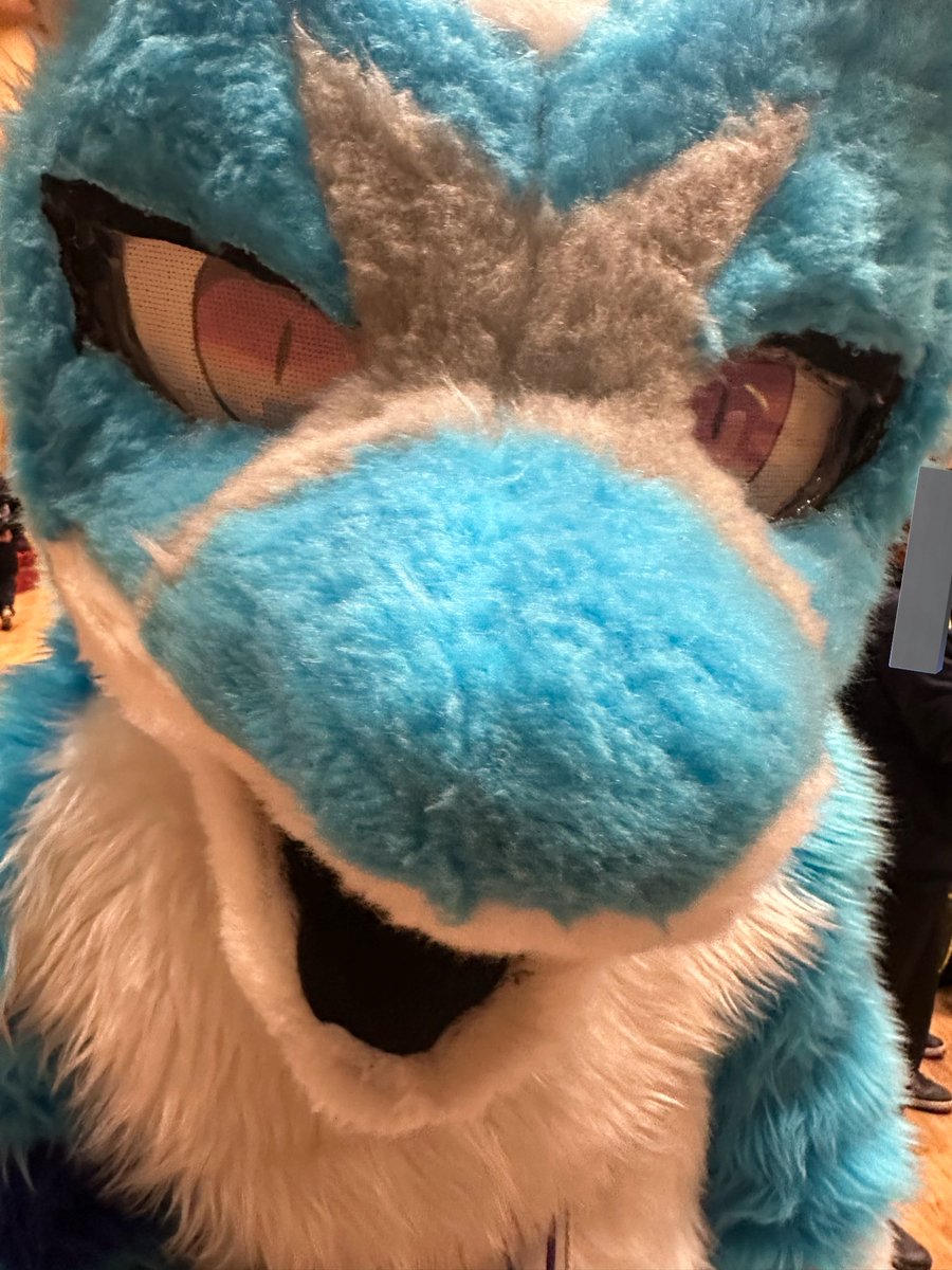 わだつみサンゴ tweet media