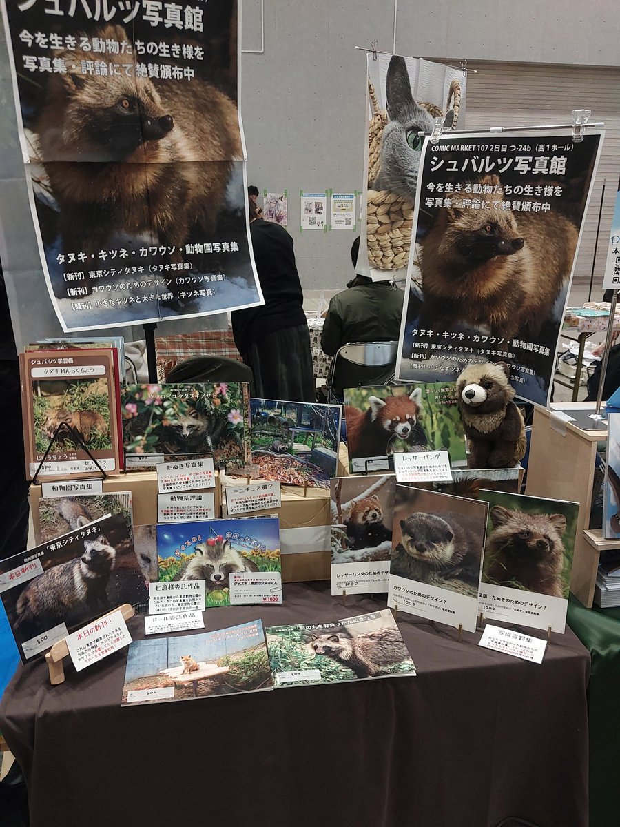 設営完了しました