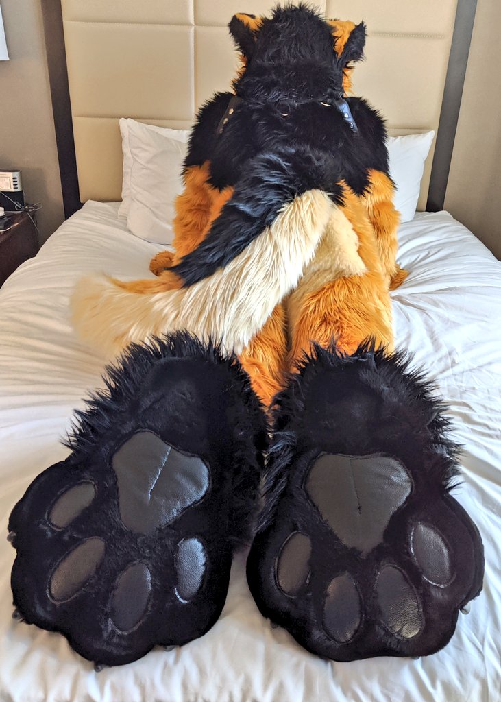 Soft dog time wooof! Time to seee those flufff paws!