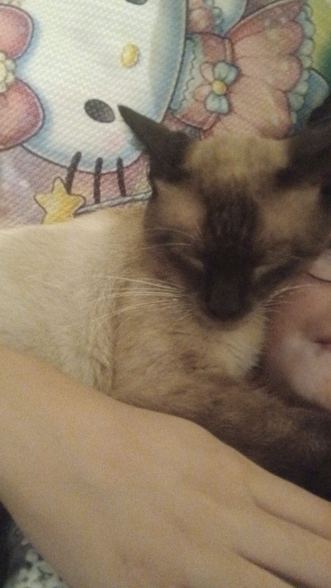 valentino 𓏲𝄢 tweet media