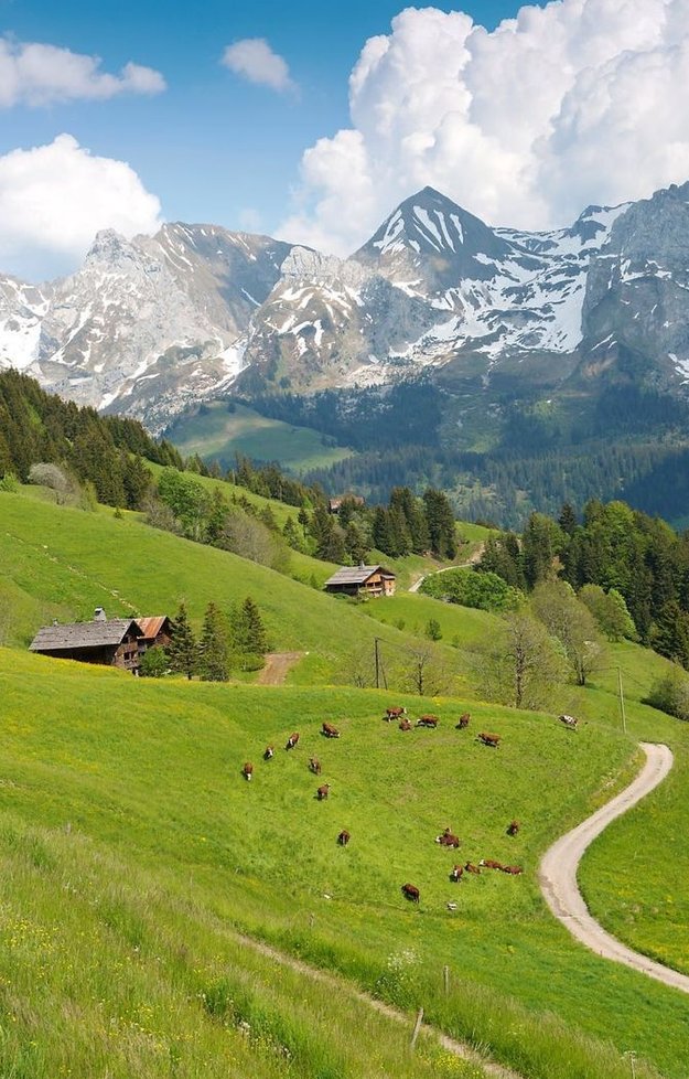 Pan_dan's tweet image. 時間が苦しい 💦