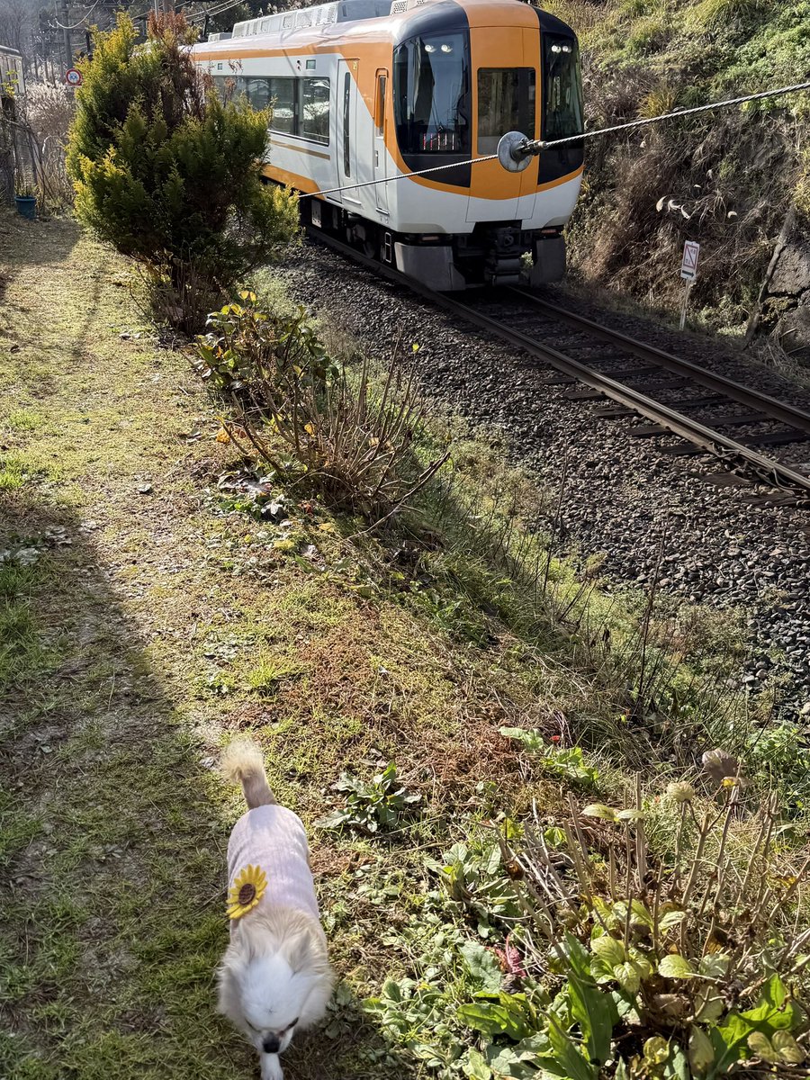 ChhiF's tweet image. やり直しバージョン。
今年最後のエセ撮り鉄です！
最後は連写してみました📸
大みそかだよ！ドラえもん1時間スペシャルを観ながら…

本年中はエセ撮り鉄にヤボ用にありがとうございました✨️