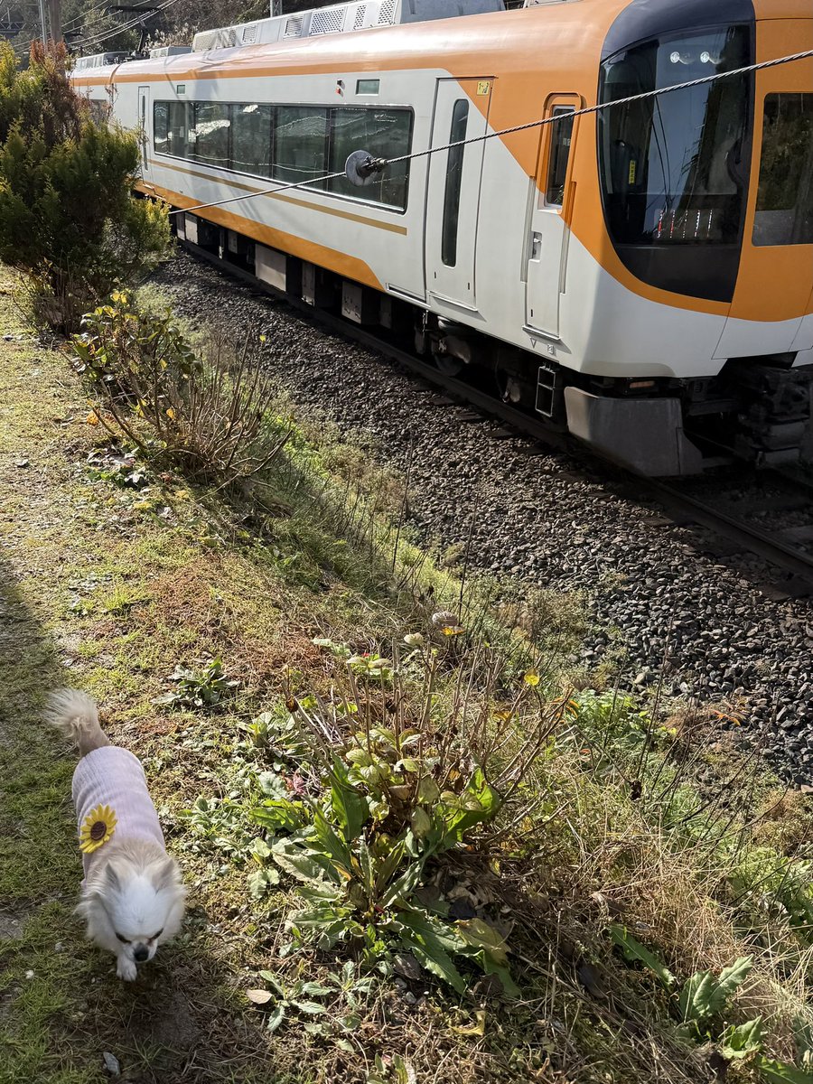 ChhiF's tweet image. やり直しバージョン。
今年最後のエセ撮り鉄です！
最後は連写してみました📸
大みそかだよ！ドラえもん1時間スペシャルを観ながら…

本年中はエセ撮り鉄にヤボ用にありがとうございました✨️