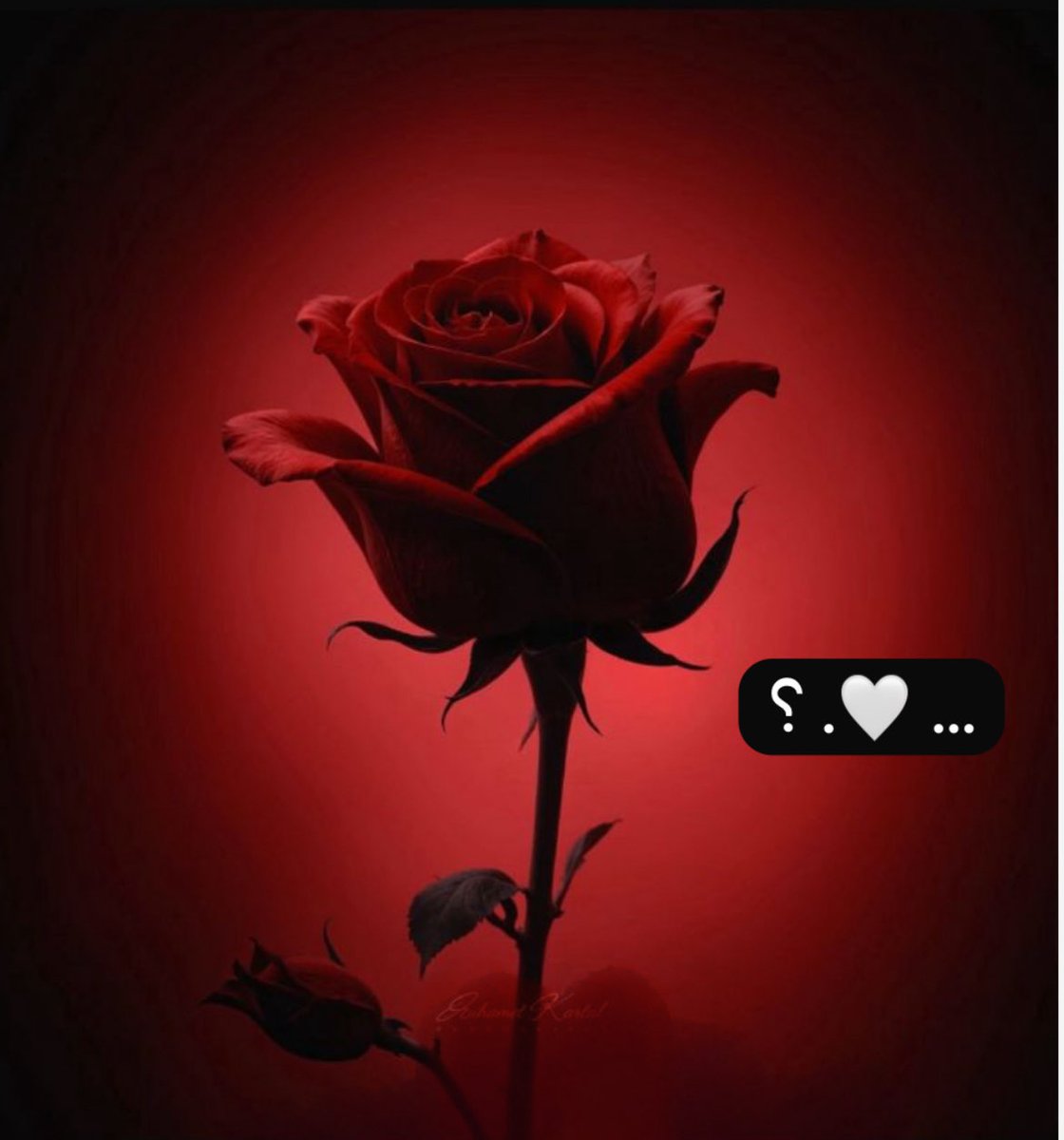 #عام_٢٠٢٥ عام جميل~رحل
 جمّل الله من تجمل
واغنانا الله عن من غاب وخذل .. ♥️

#عام_٢٠٢٦ عام جديد أقبل 
يا عساه أجمل من العام وأكمل ~ 🤍

#كلام_من_القلب 
#لا_اله_الا_الله