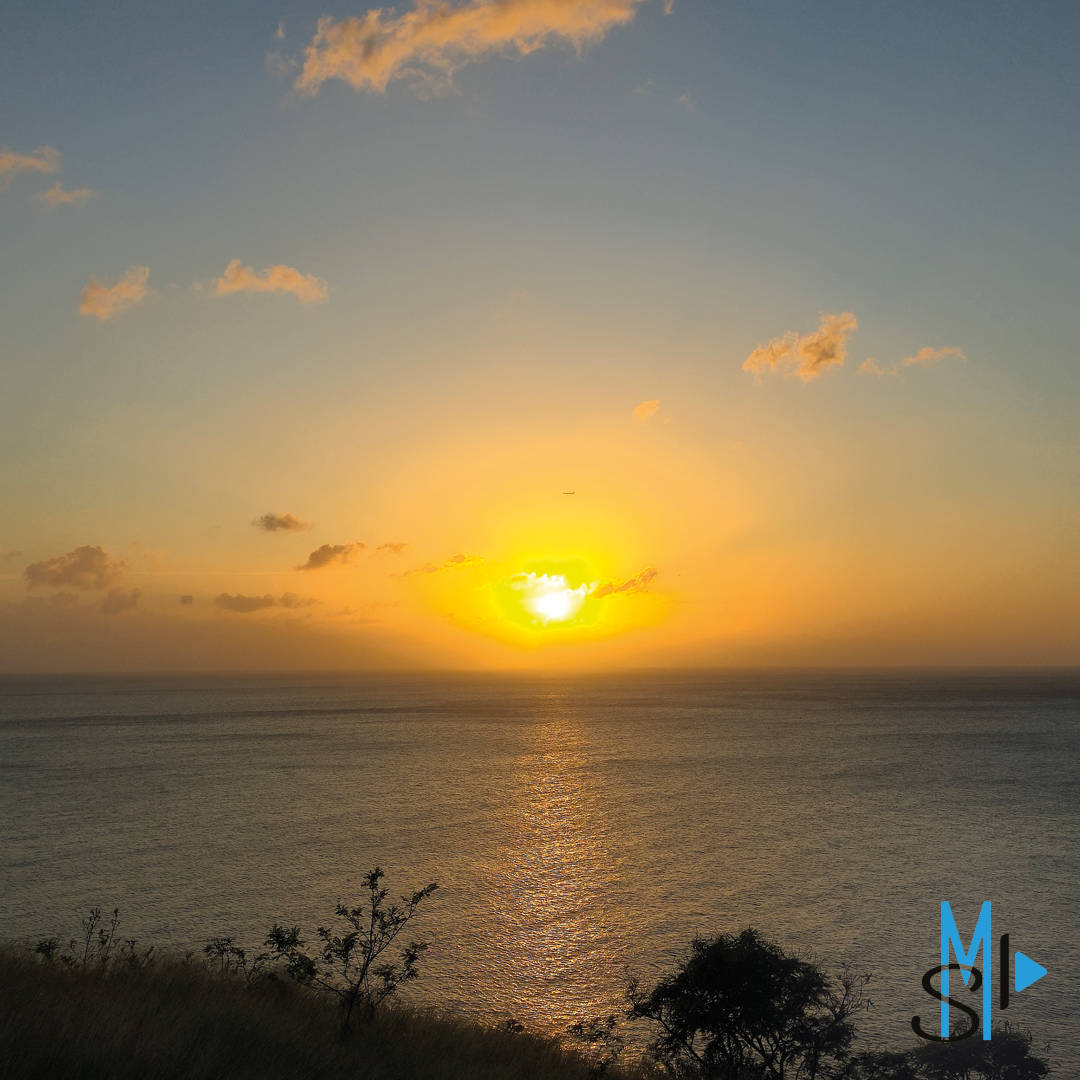 SaveMotionProd's tweet image. #SaveMotionProduction #photography #nature #martinique #972