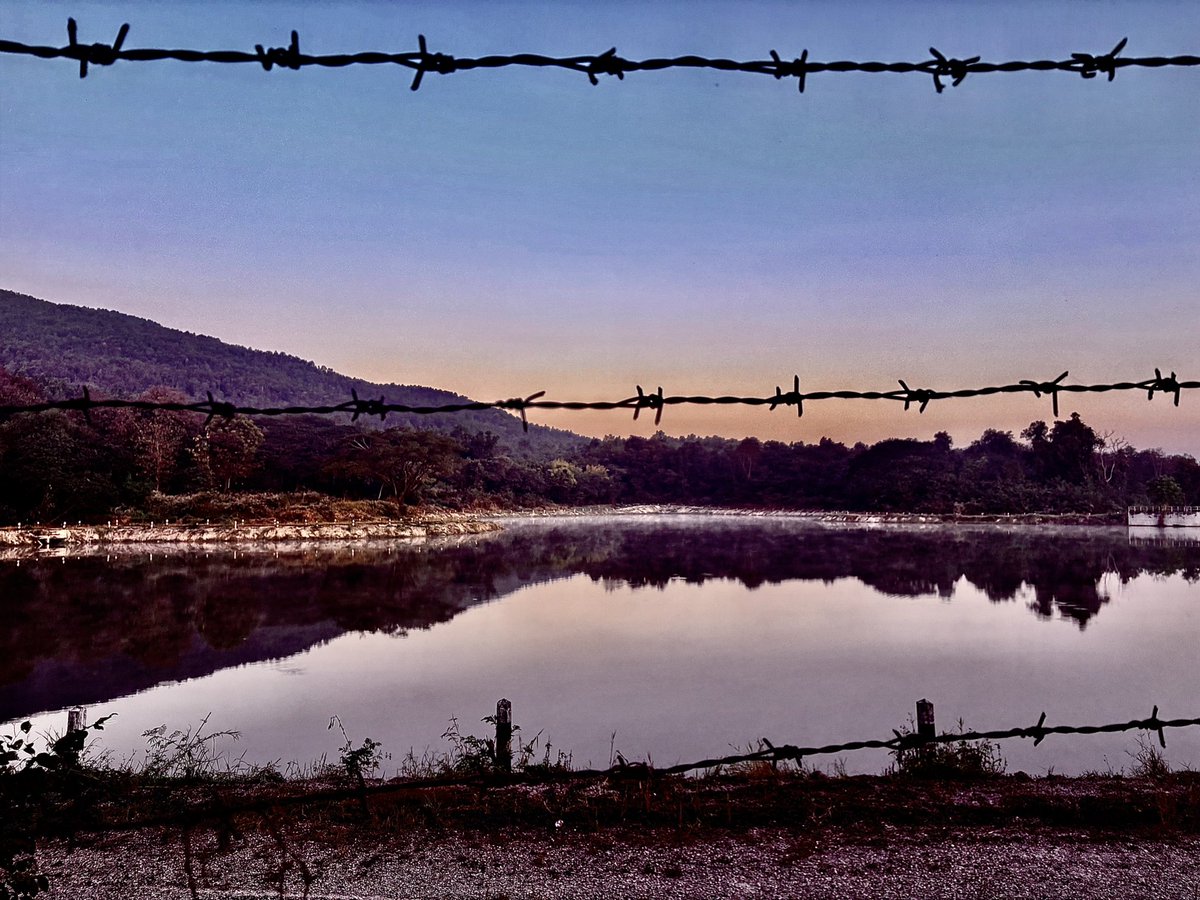 CryptoFerret tweet media