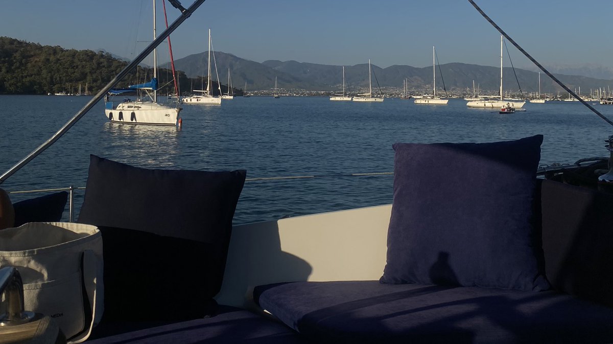 drsarasmrg's tweet photo. The sea vitamin called https://t.co/sq4lcNIC2u