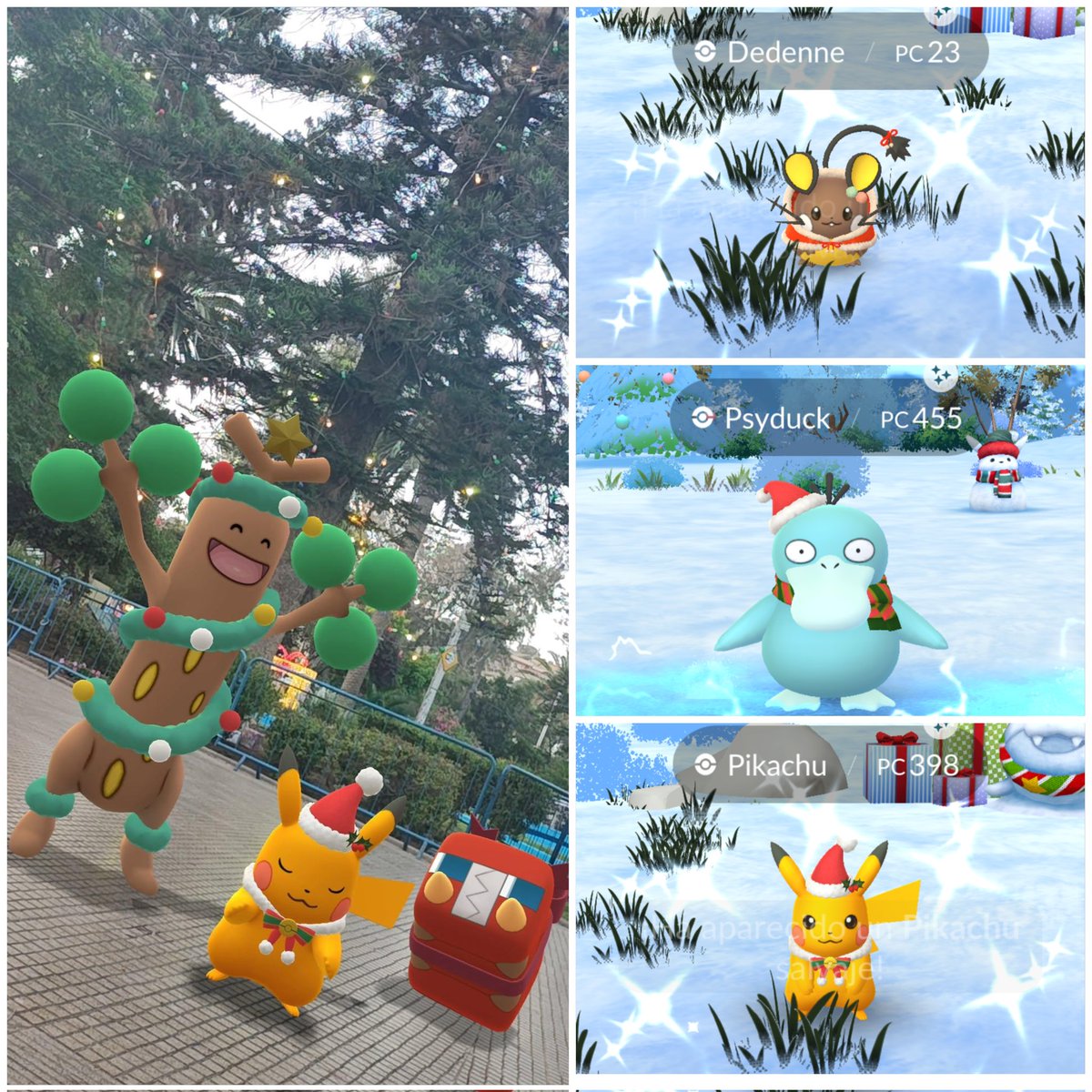 itsuki_310's tweet photo. A bit late, but here’s my Christmas event recap 🎄
~12 days of grinding, lots of shinies (mostly new entries!), played as much as the summer sun allowed ☀️
Love this event—vacations make it even better 😁
#ポケモンGO  #GOsnapshot #NianticAR  #ARofTheDay #GOsnapshotCelebration https://t.co/zOaHmneC5Y