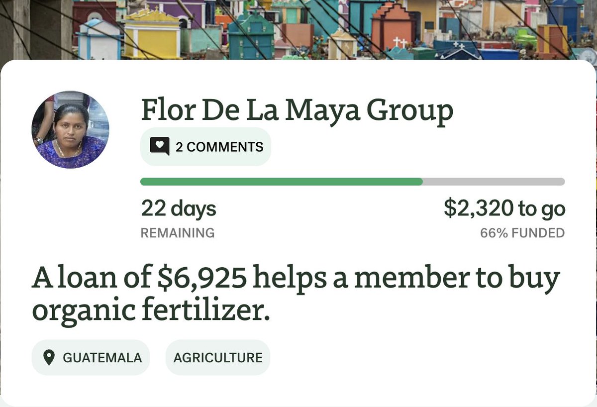 Friendship Bridge tweet media