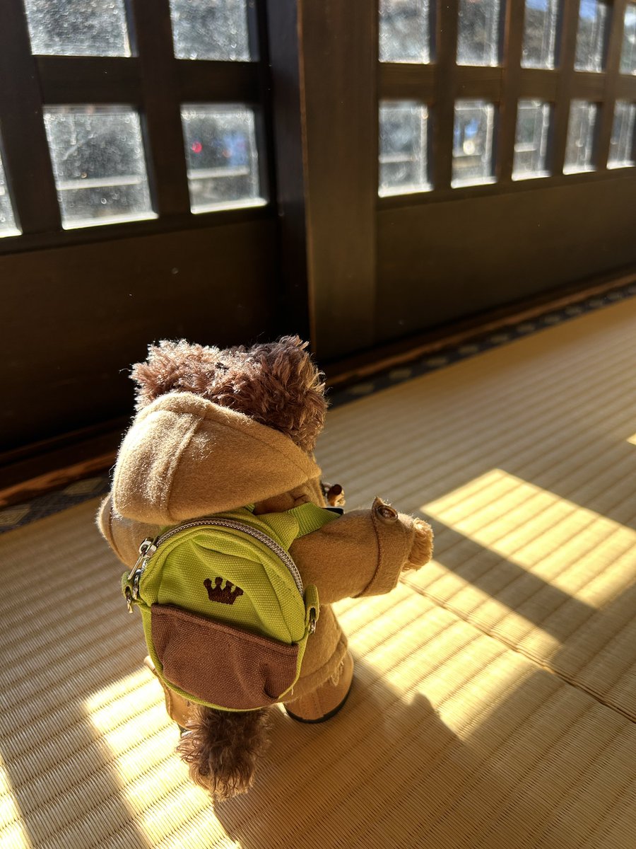 2a_mink3gone's tweet photo. 城崎温泉に行って参りました!!
とても寒かったです!ぶるぶる…
温泉に入ってぽかぽかになりました✨✨
皆さまも、良いお年をお過ごしくださいね。
#princecat
#プリンスキャット https://t.co/XT3094scHr