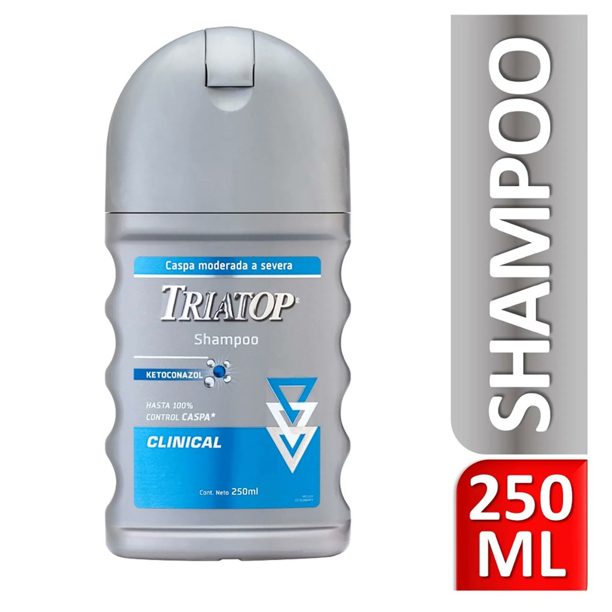 Teatro Mágico🇦🇷🇮🇹 tweet media