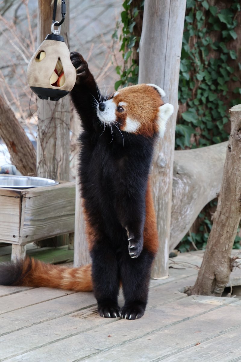 ひでさん（moto-84）🍵🐜🍔 (@h1de_m10_fp3) / Posts / X