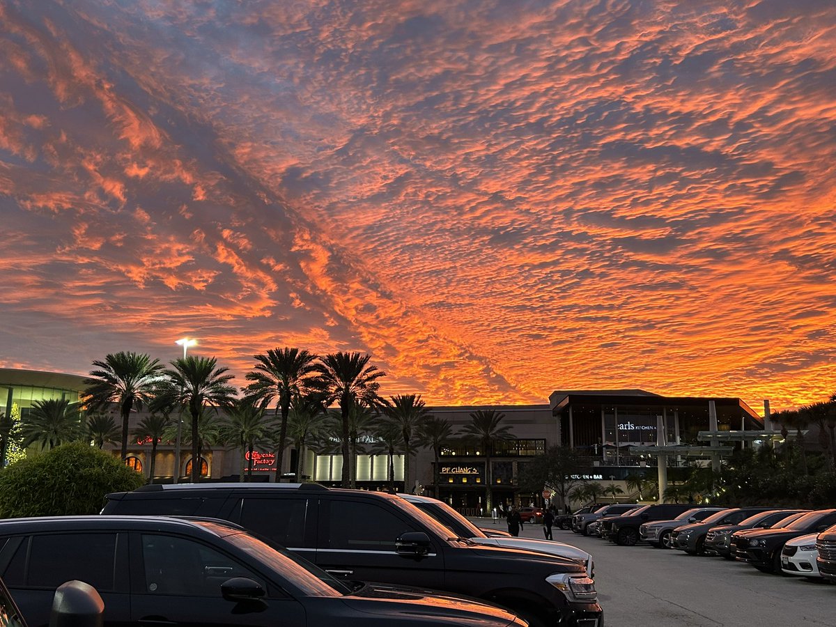 BlaktimusPrime's tweet image. 