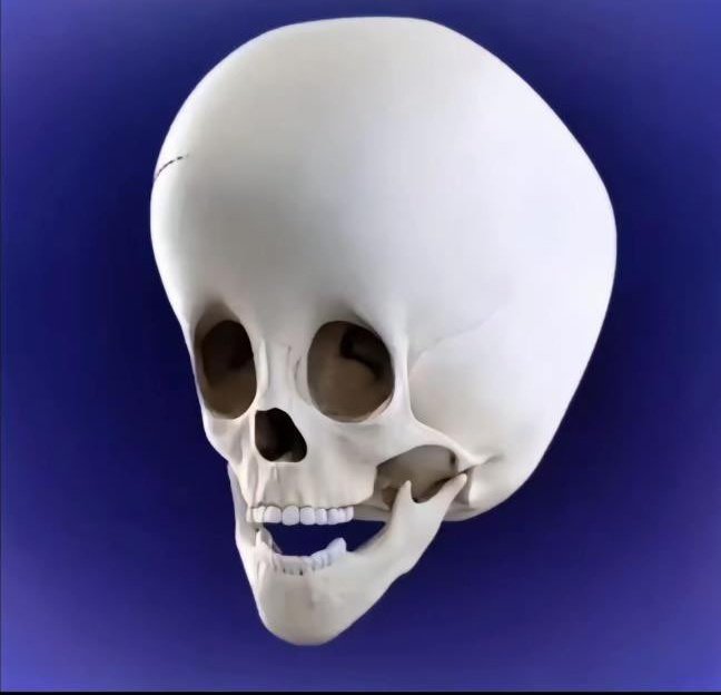 Dixon Uranus tweet media