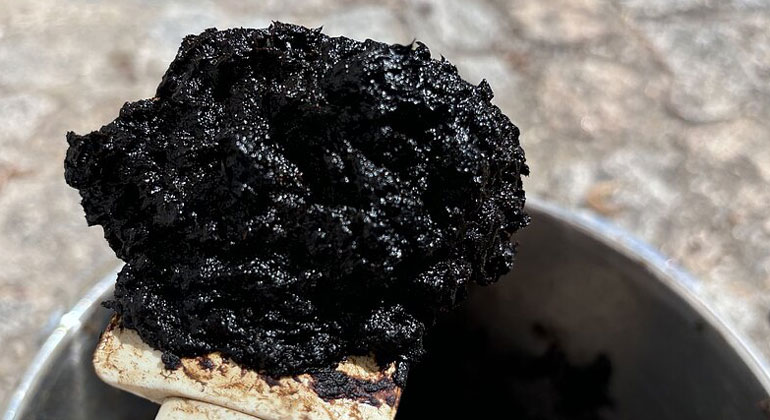 Künstlicher Torf aus dem Schnellkochtopf dlvr.it/TQ4nZD