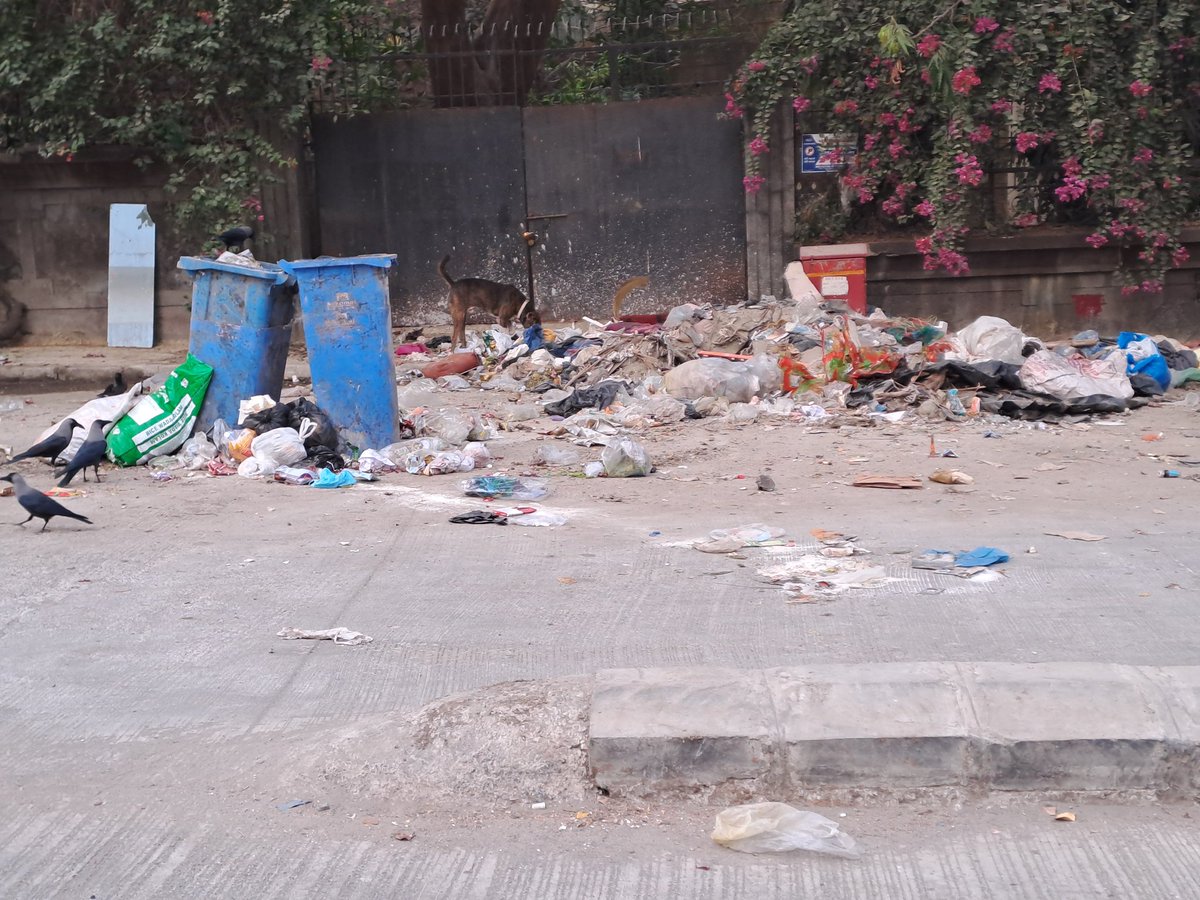 i_sushil's tweet photo. While we thank @mybmc for the new cement road at Kulupwadi, the area has become a nightmare. Illegal parking has narrowed the road, &amp; garbage dumping/public urination has made the smell intolerable. We need urgent action to keep our neighborhood clean &amp; hygienic!  @PiyushGoyal https://t.co/mgvVLndphP