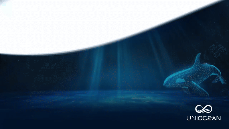 Uniocean tweet media