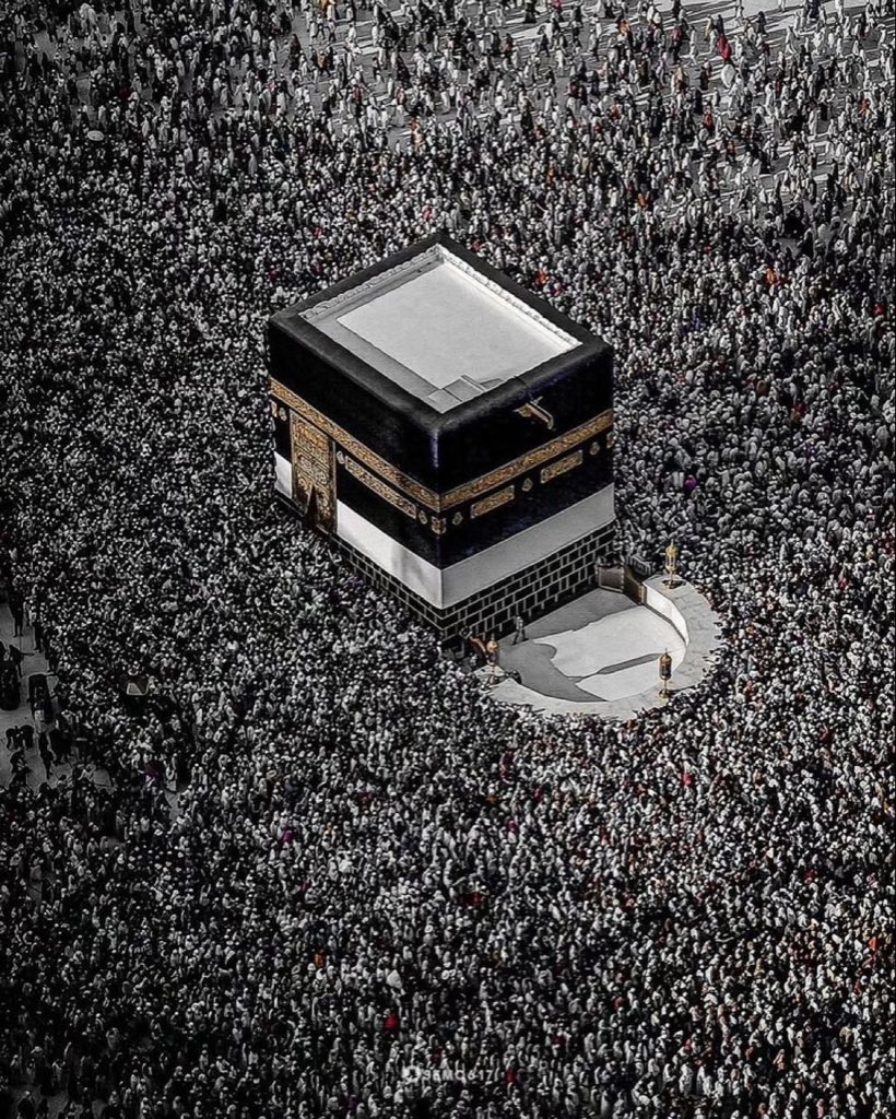 Umati (English) 🕊️ tweet media