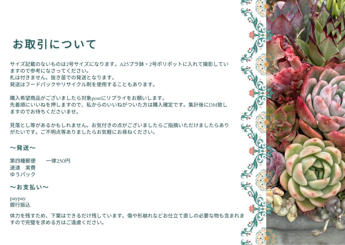 ⸻

本日からTLをお借りして草フリマします🌱

ツリーで繋げるとリプの場所が分かりにくい仕様のため連投になります。
ご迷惑をおかけしますが、必要に応じてミュート等でご自衛ください🙇‍♀️

下記タグでまとめて見られます。
よろしくお願いします🍀

#ののたん草フリマ1231
